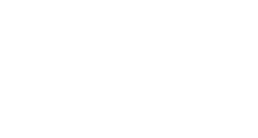 Logo DSO Entity